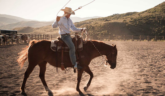 blueskyequistrian Bluesky Horseback Riding