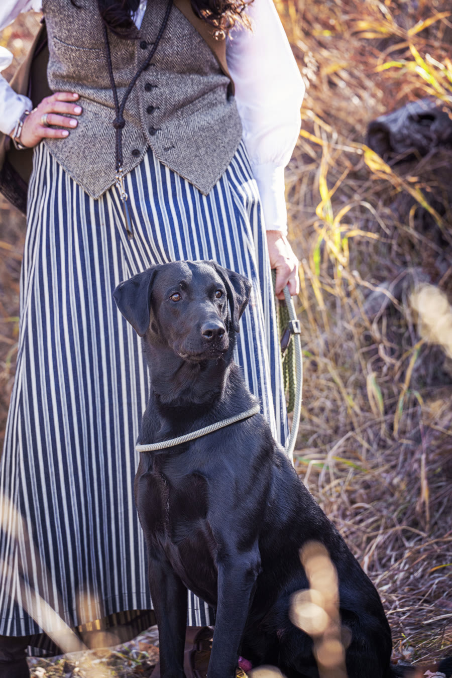Dog handling outfit in the field with a black Labrador retriever