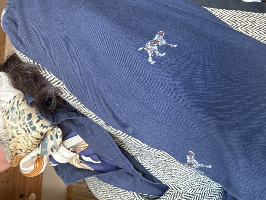 Silk retriever scarf over a dog-print shirt